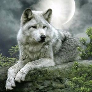 Meet your Posher, Miller